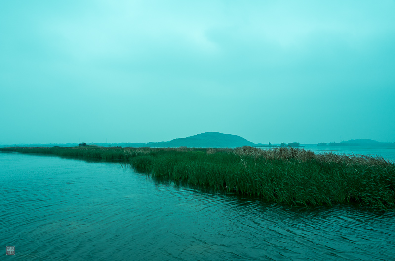 l1004195.jpg