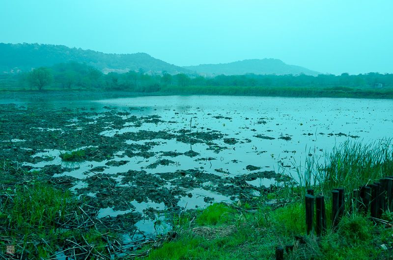 l1004198.jpg