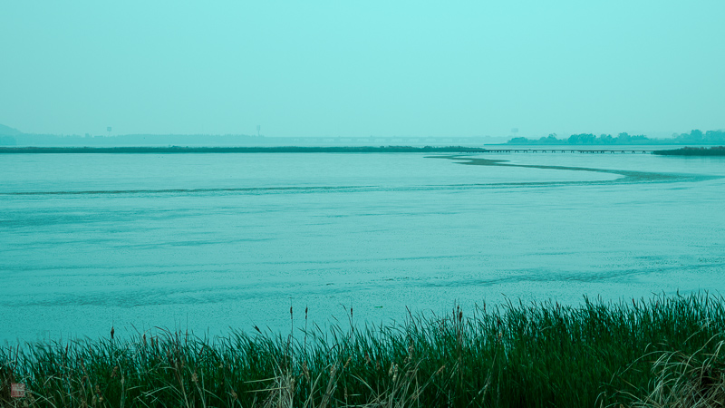 l1004205.jpg