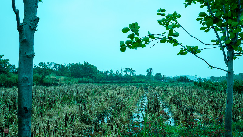 l1004203.jpg