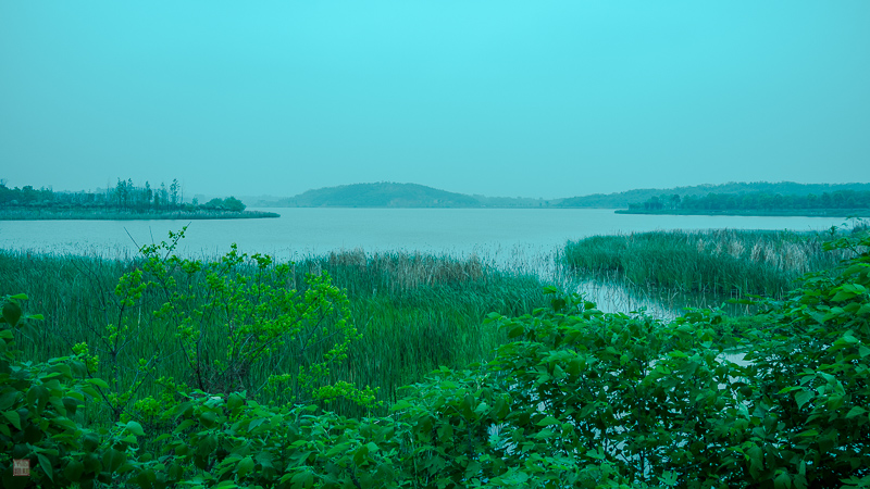 l1004217.jpg