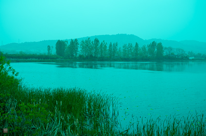l1004218.jpg