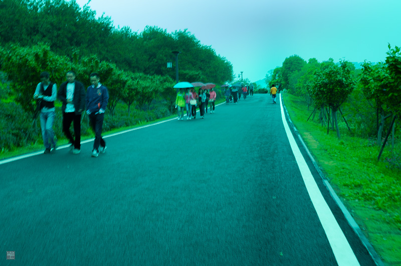 l1004212.jpg