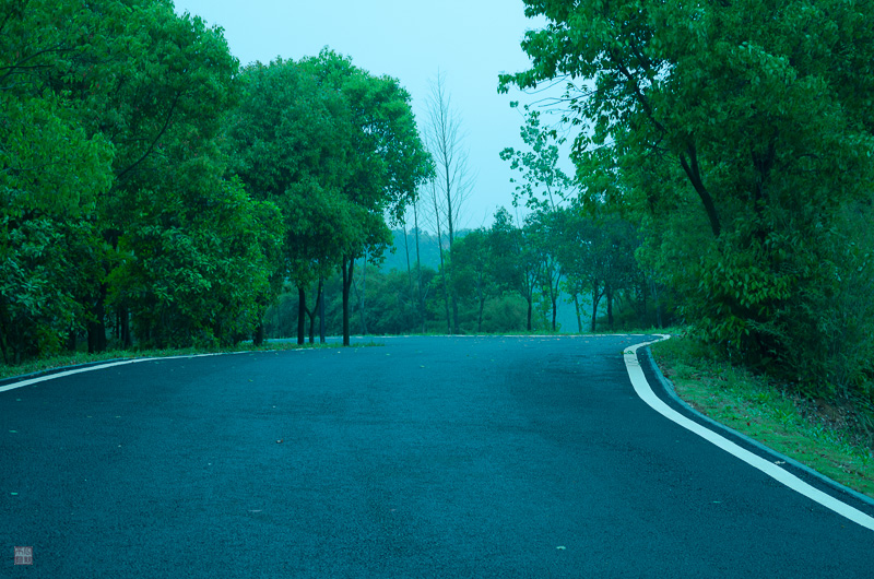 l1004224.jpg
