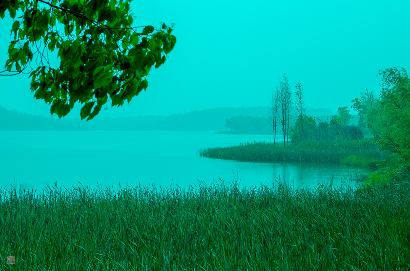 l1004238.jpg
