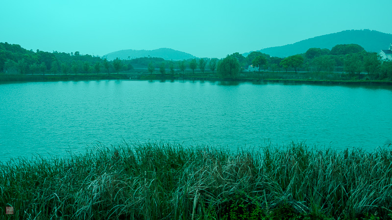 l1004228.jpg