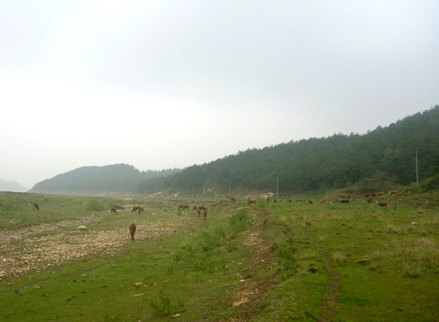 p1190254_.jpg