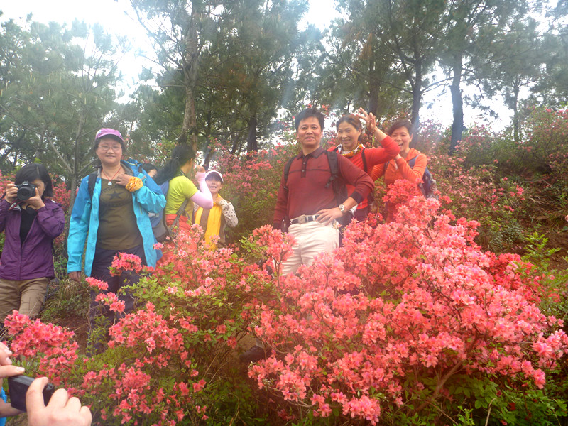 p1190264_.jpg