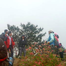 p1190274_.jpg