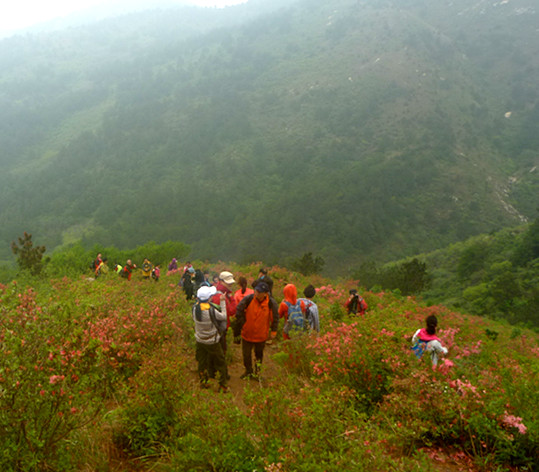 p1190276_.jpg