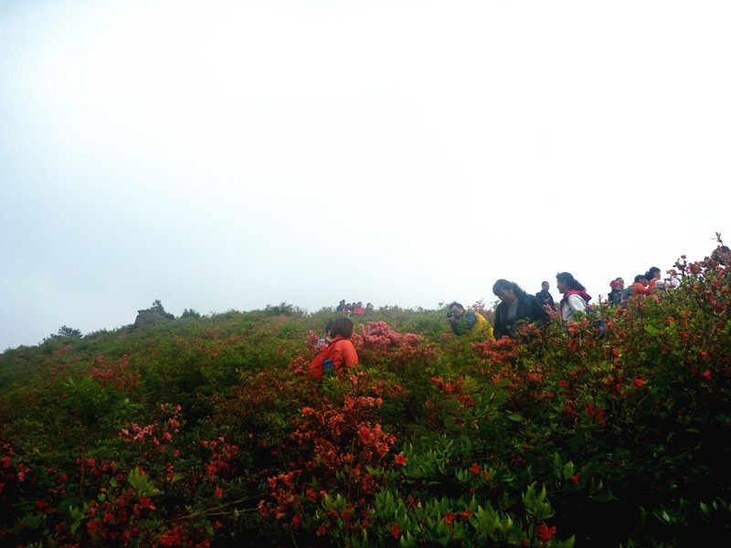p1190277_.jpg