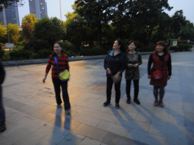 dsc03146.jpg