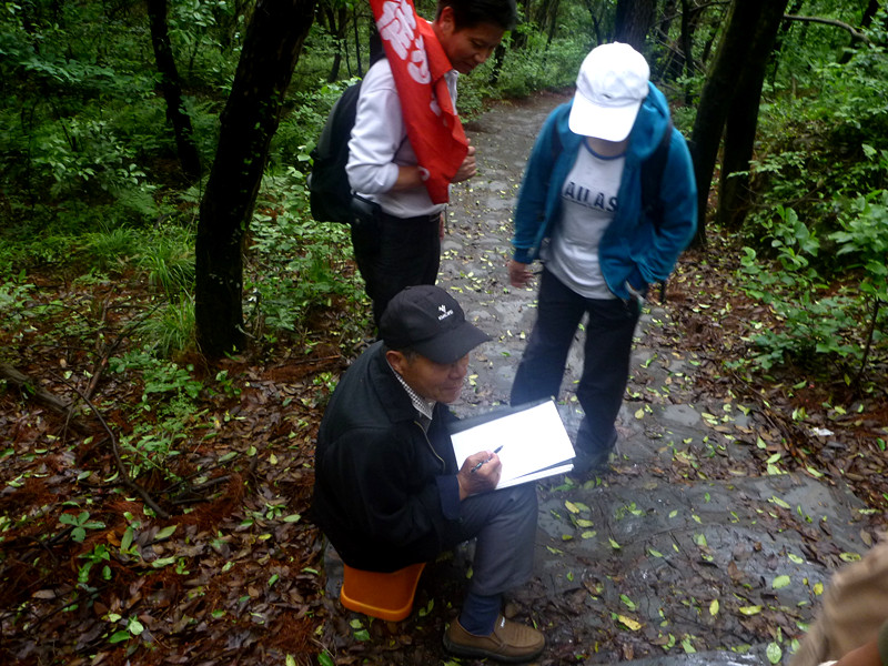 p1190379_.jpg