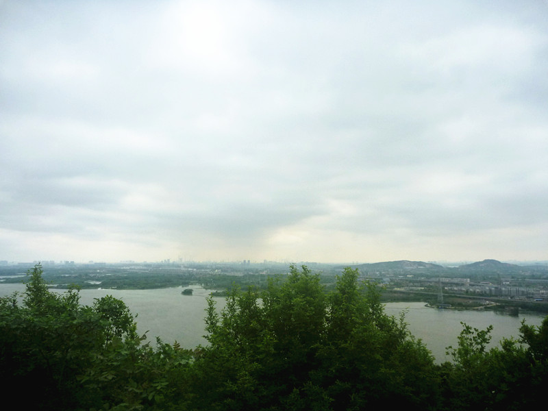 p1190381_.jpg