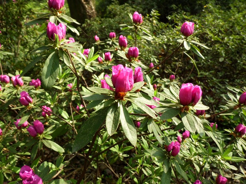 psbf1k5d6hd.jpg