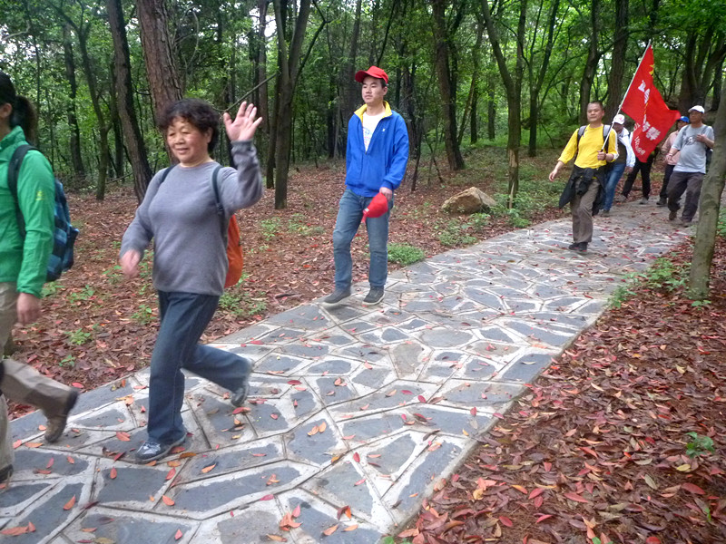 p1190390_.jpg
