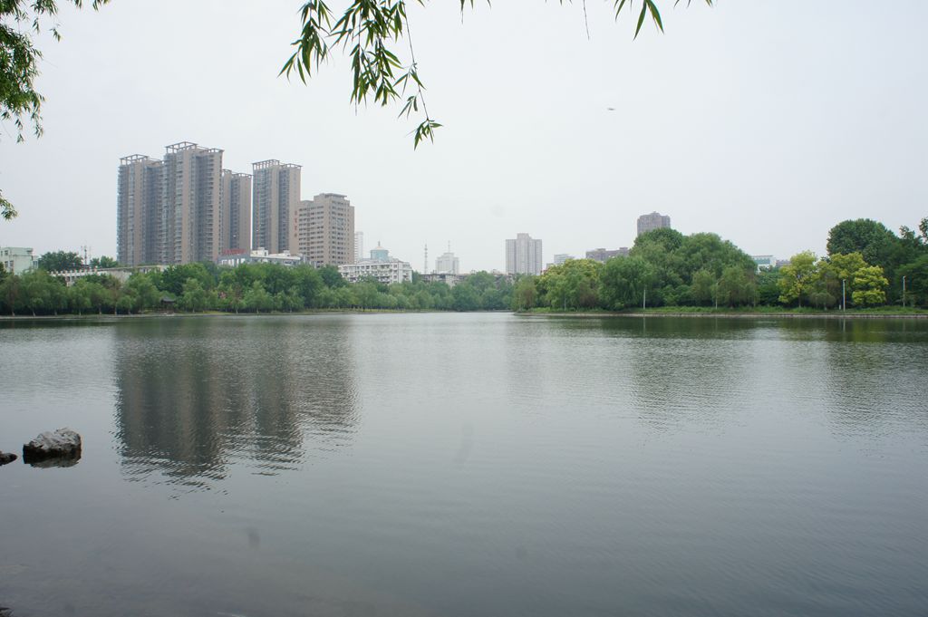 dsc03163_.jpg