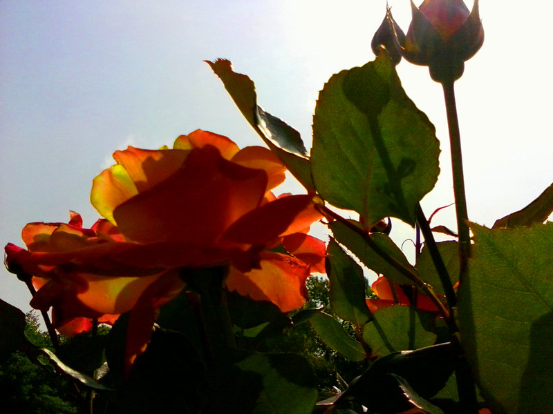 l002.jpg