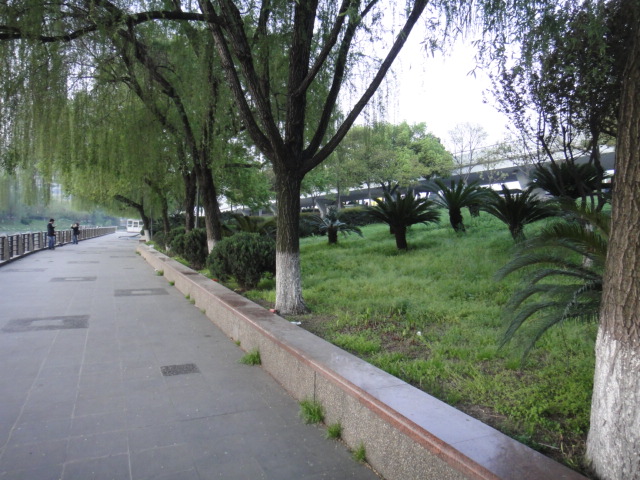 dsc02960.jpg