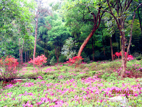 l009.jpg