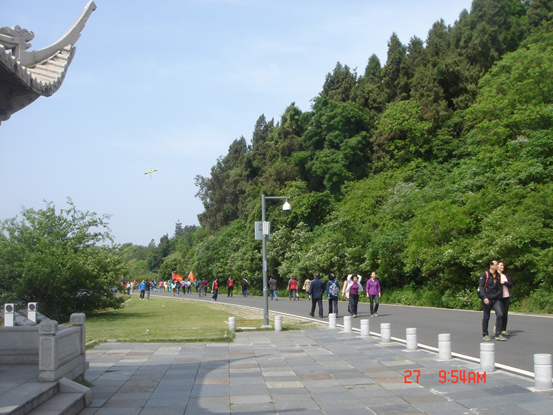 dsc05657_1.jpg