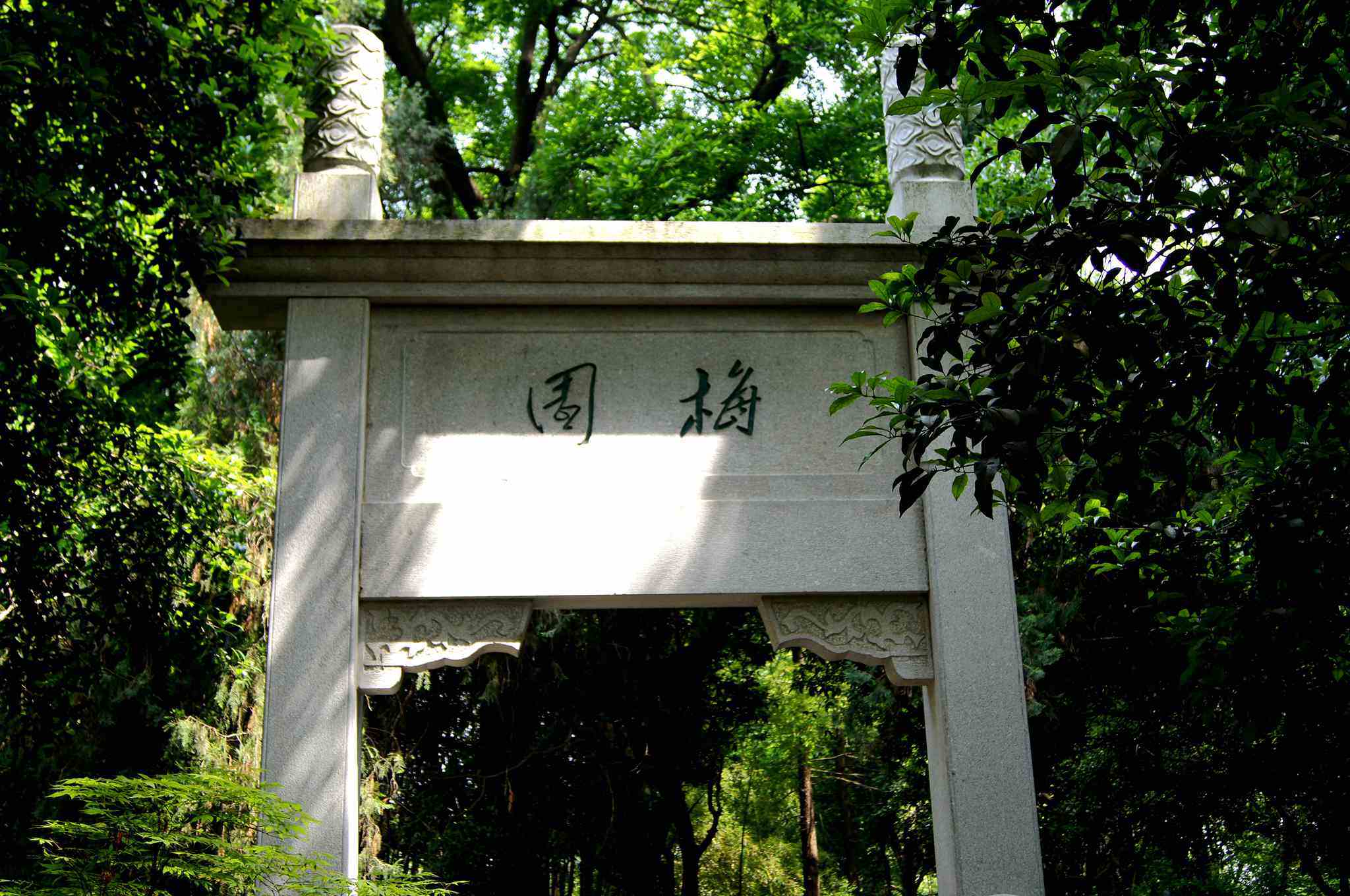 dsc09906__.jpg