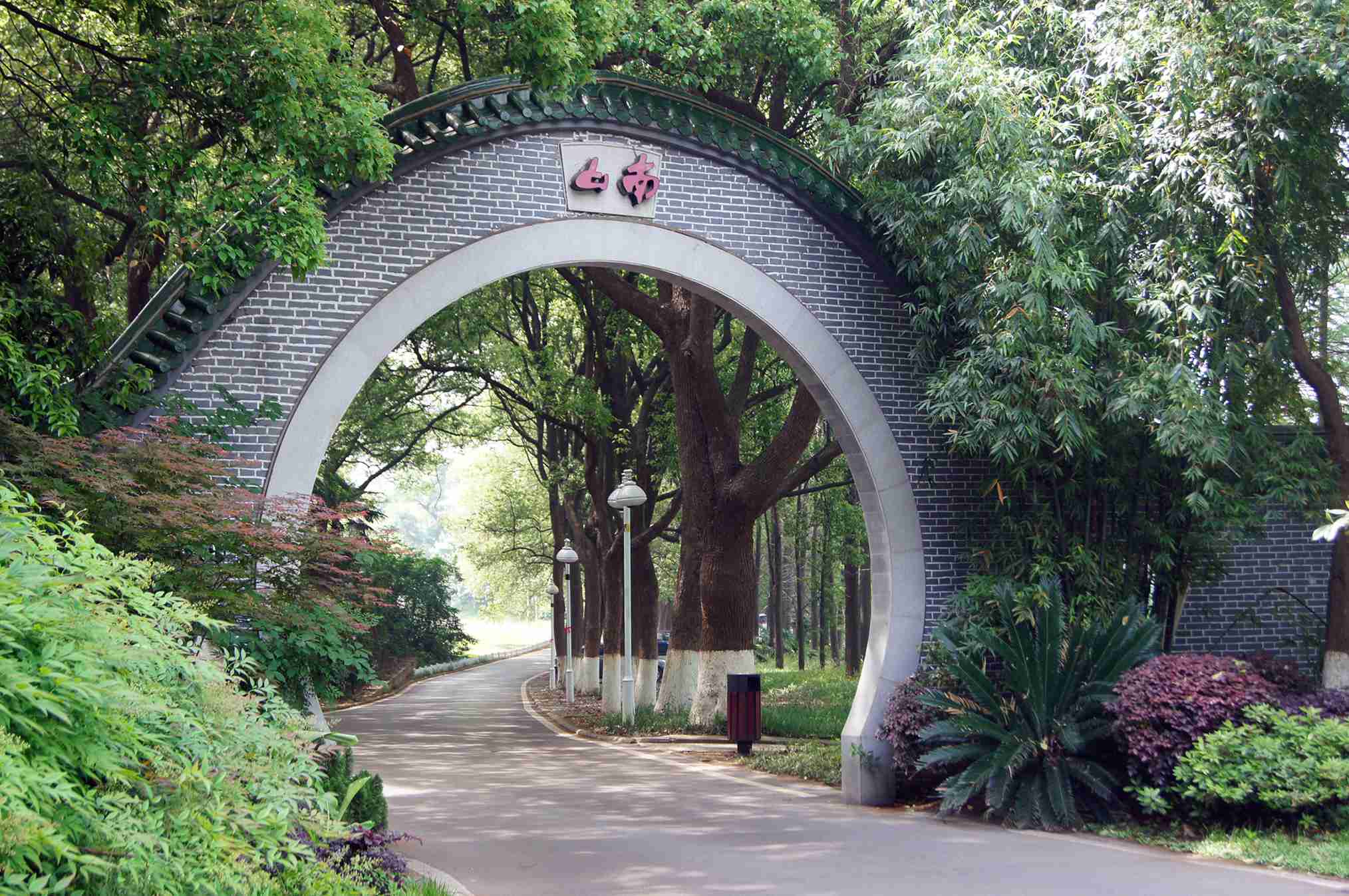dsc09911_.jpg