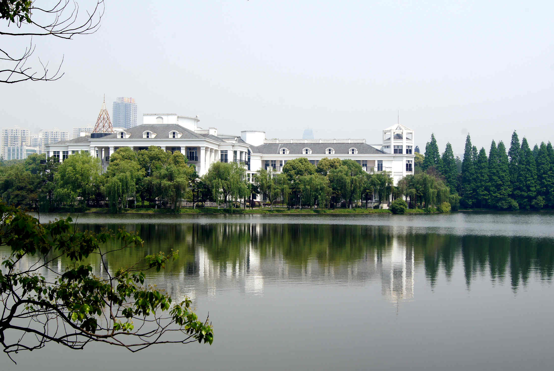 dsc09919_.jpg