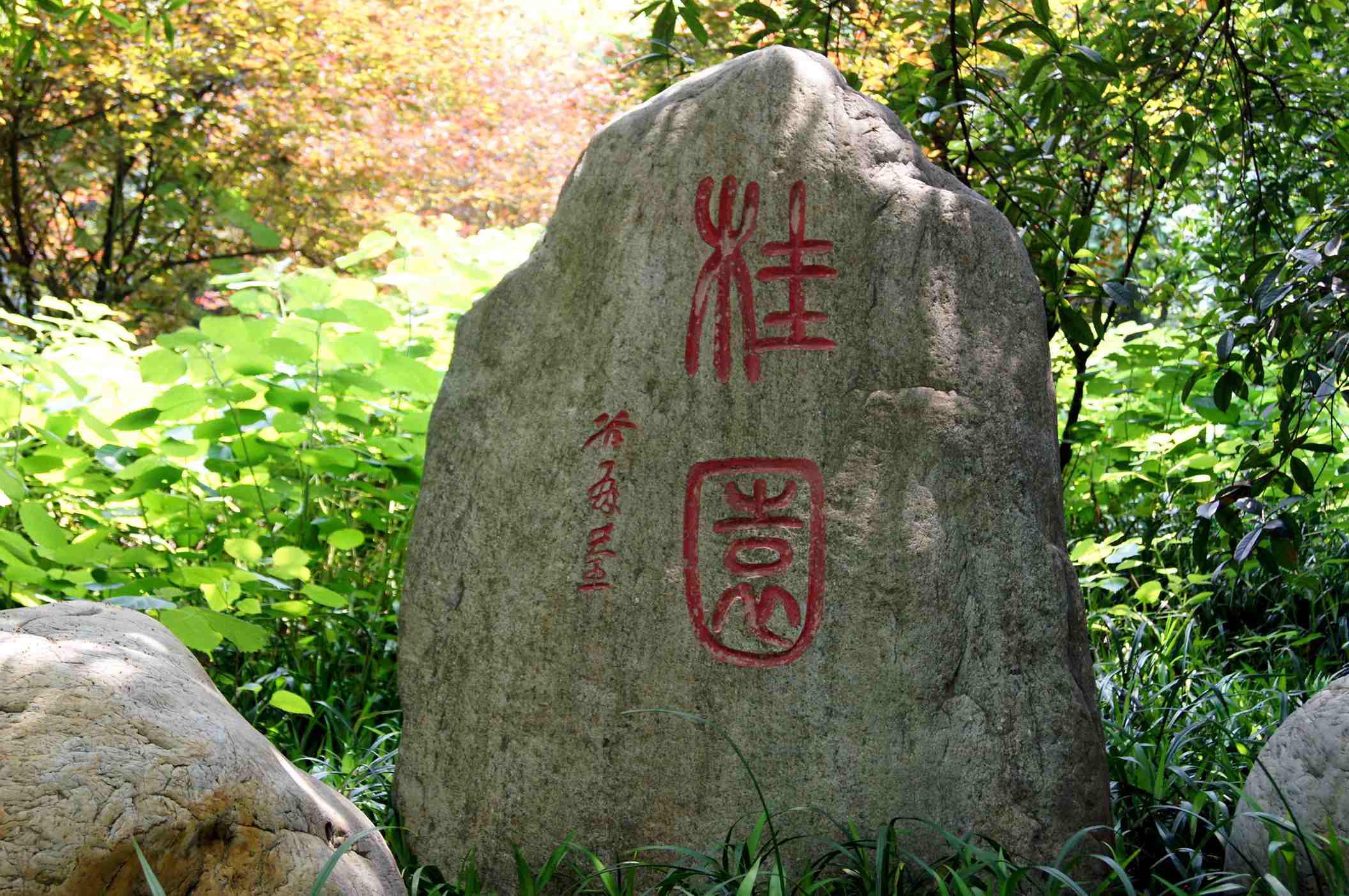 dsc09933_.jpg
