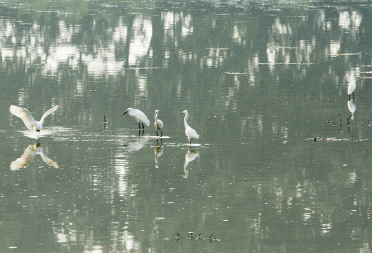 _mg_6370_.jpg