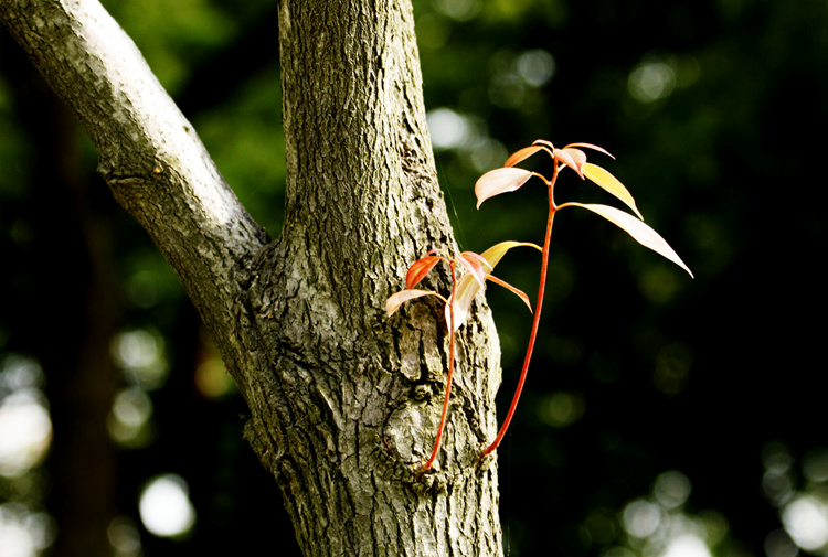 _mg_6394_.jpg