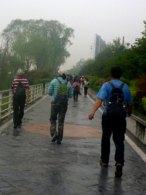 p1190214_.jpg