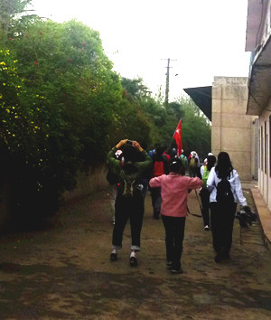 p1190211_.jpg