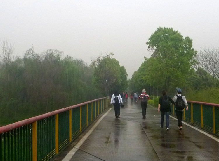p1190217_.jpg