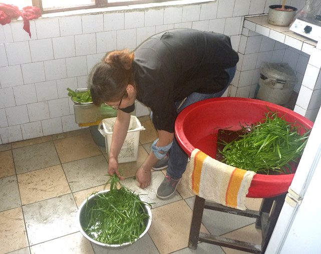 p1190230_.jpg