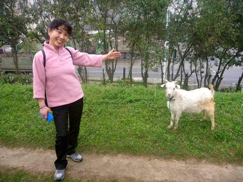 p1190219_.jpg