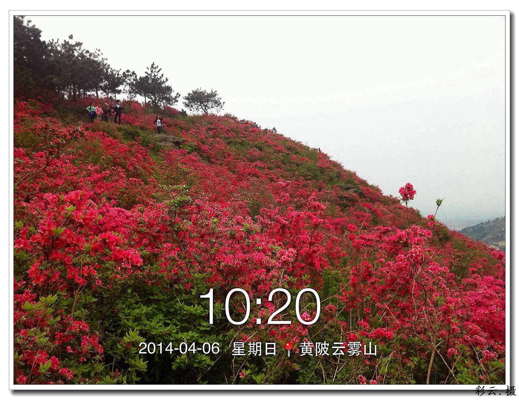 qqͼƬ20140406195744.jpg