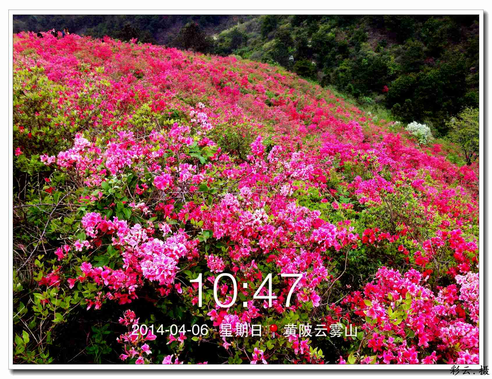 qqͼƬ20140406200005.jpg