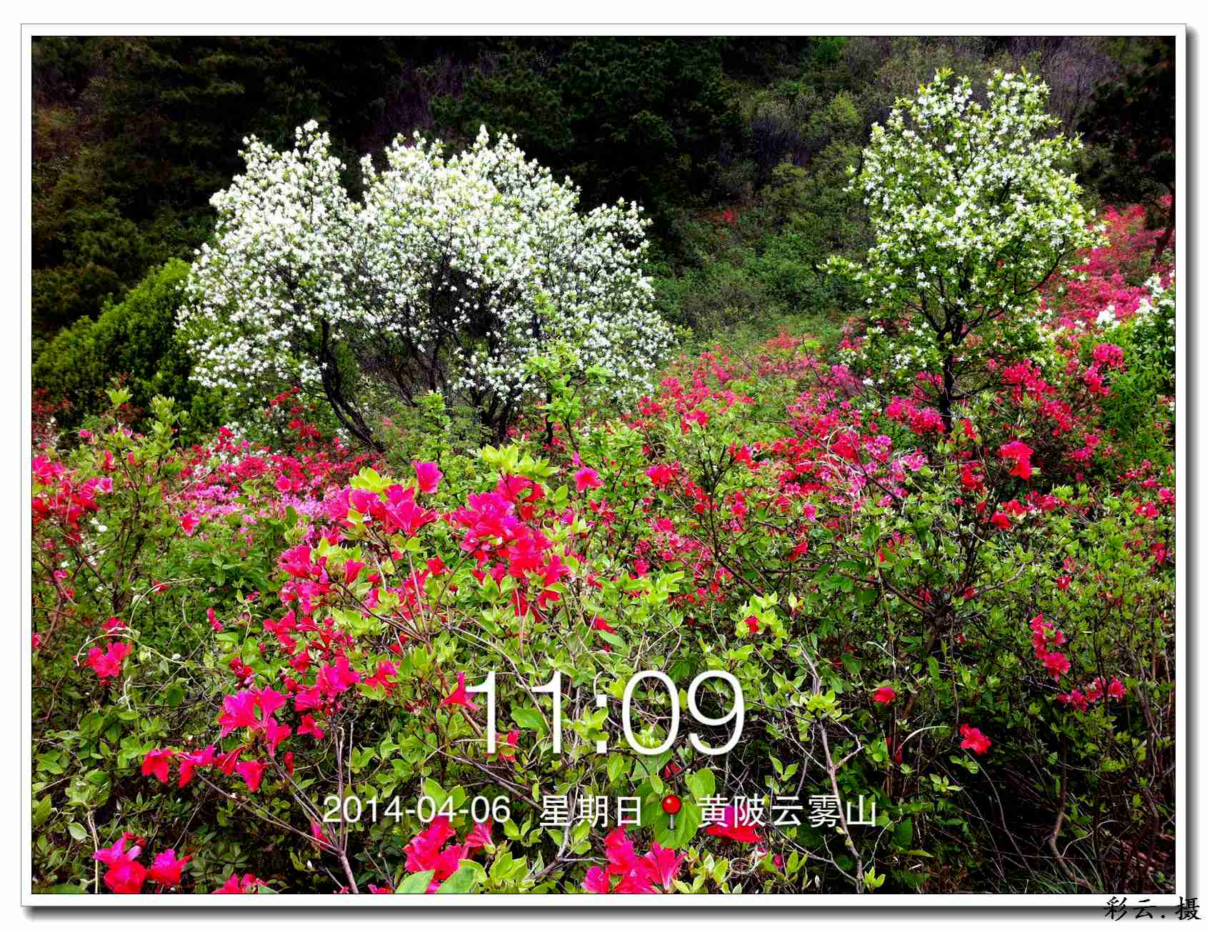 qqͼƬ20140406200320.jpg