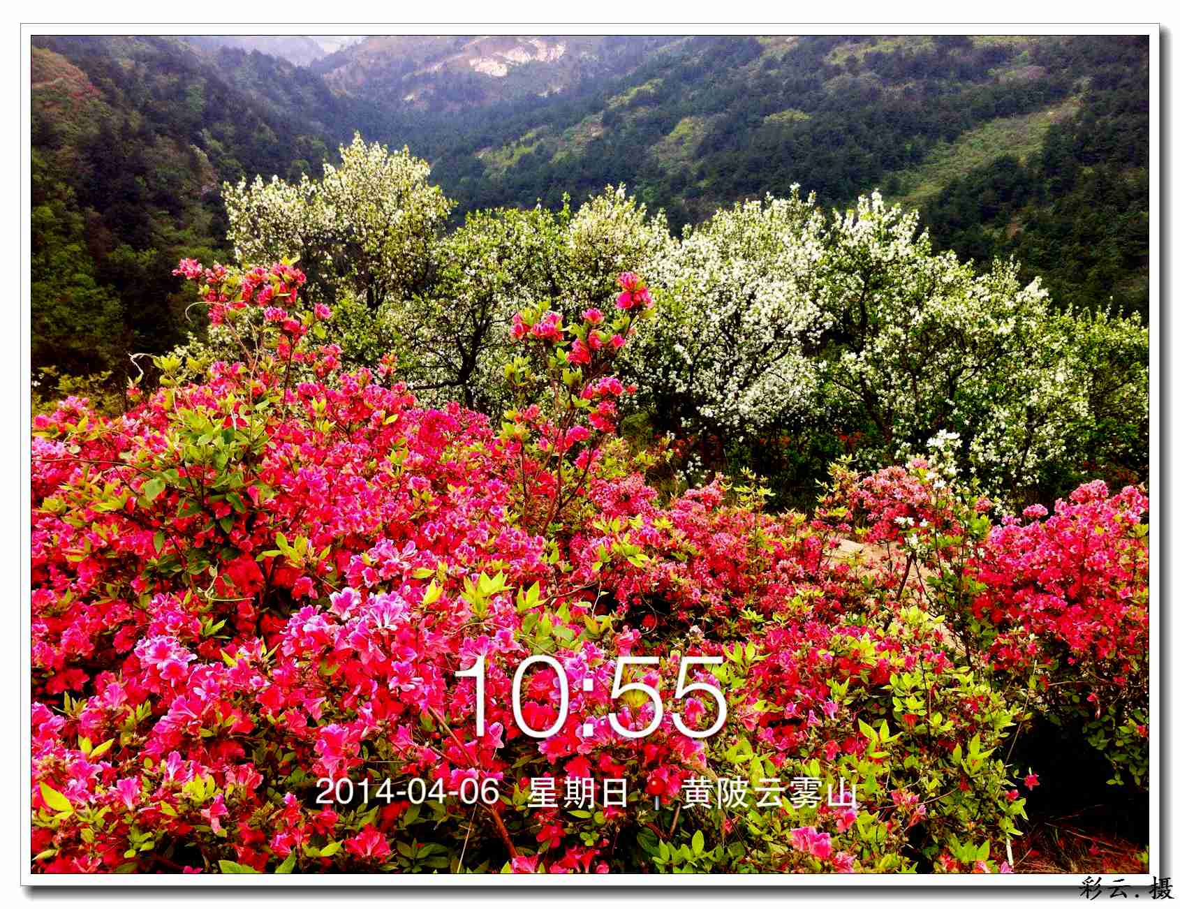 qqͼƬ20140406200111.jpg