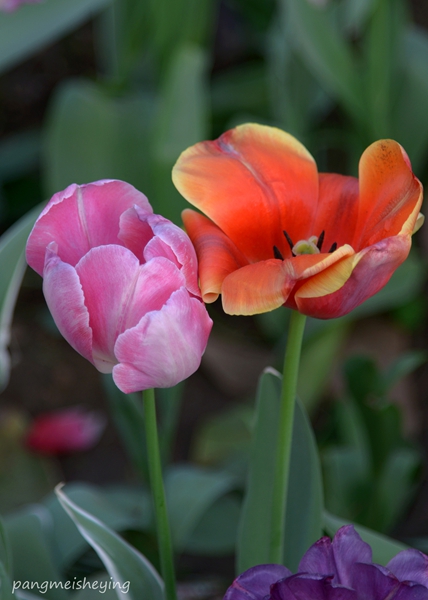 dsc_5410__.jpg