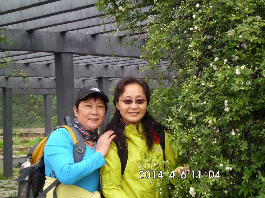 psb0ke393o2.jpg