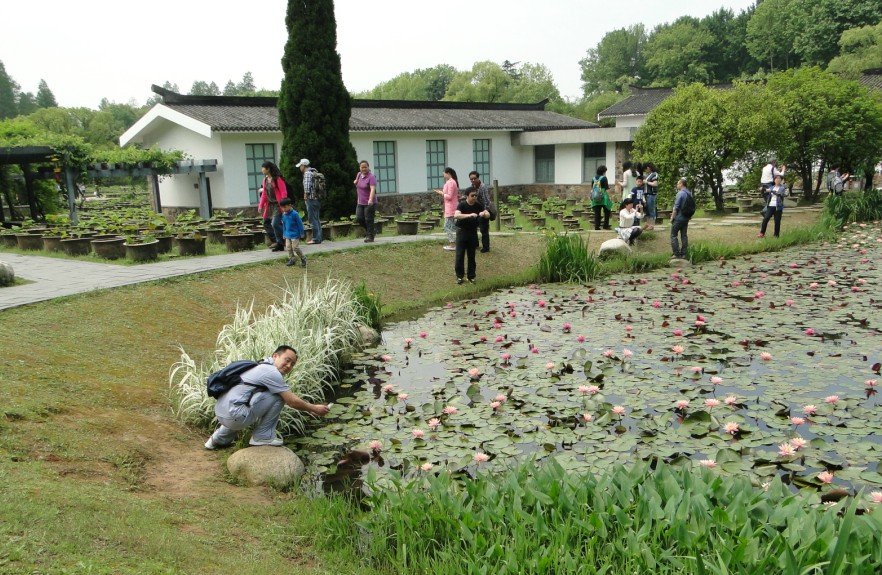 13.jpg
