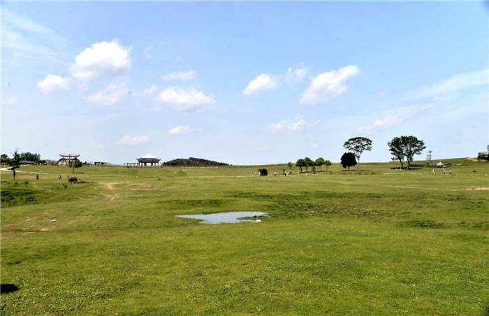 dsc_7734__.jpg