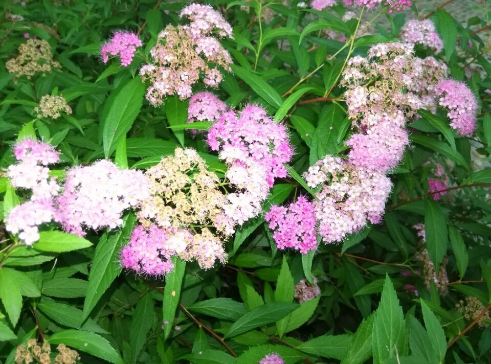 qqͼƬ20140515220441.jpg