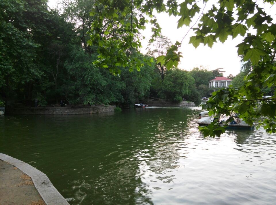 qqͼƬ20140515220504.jpg