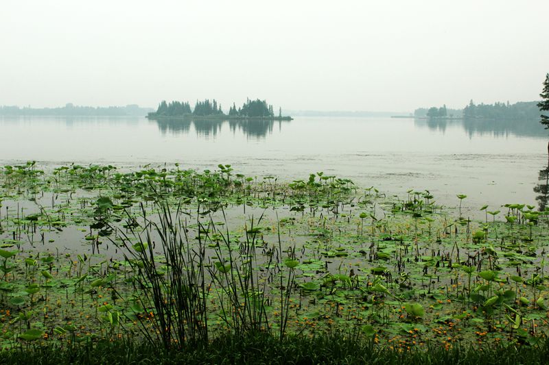 img_6601.jpg