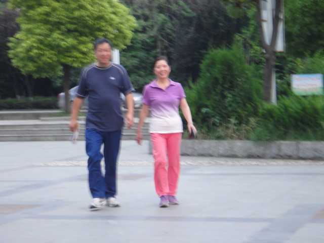 dsc03533.jpg