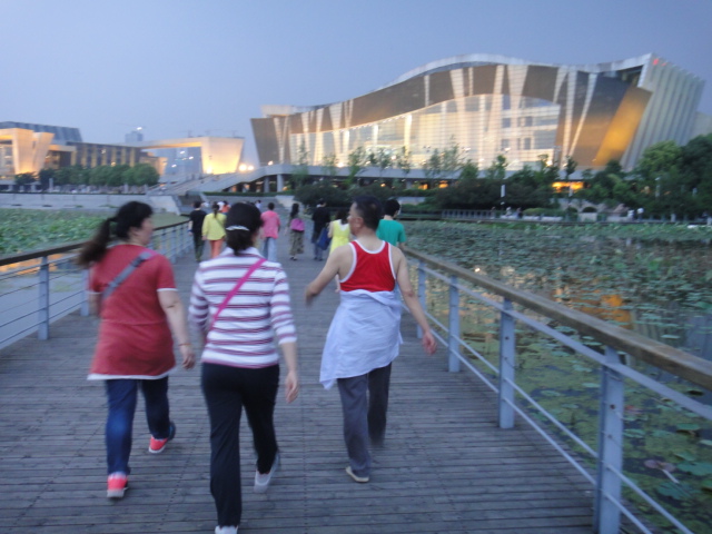 dsc03563.jpg