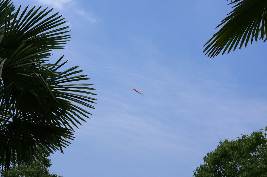 img_8129.jpg